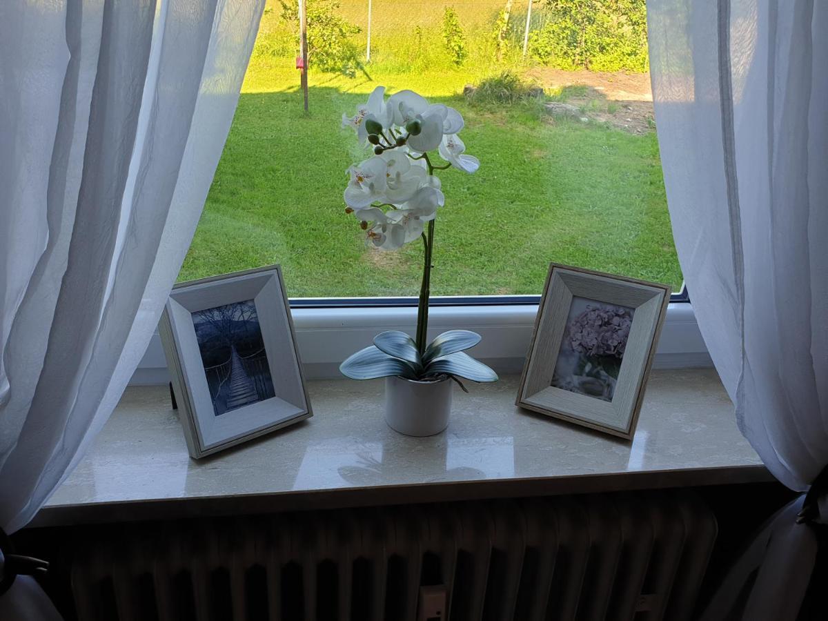 Ana'S Ferienwohnung Furth im Wald Eksteriør billede